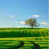 专﻿业‌C语‍言‌工‍具﻿